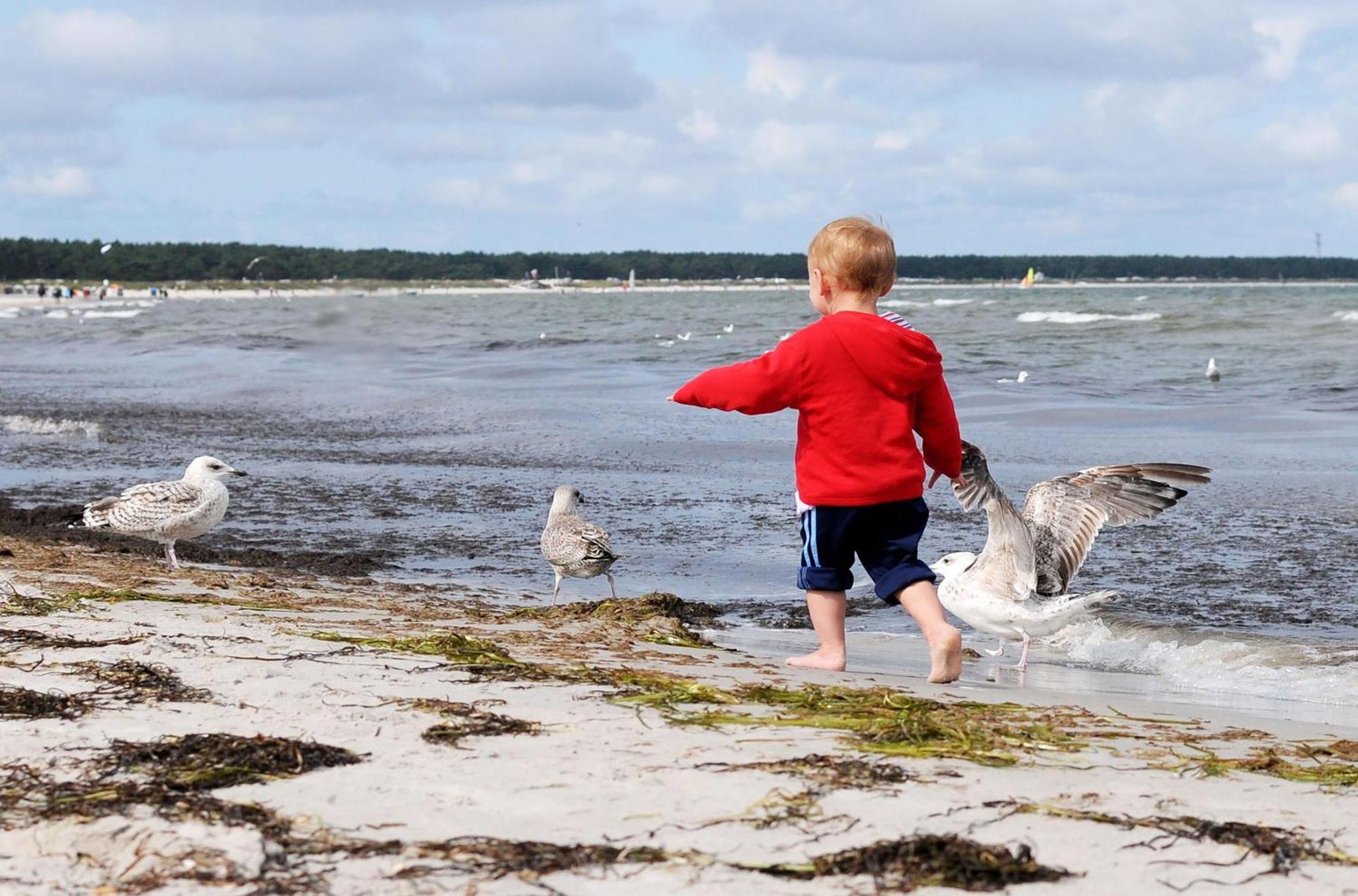Kranichtanz An Der Seebruecke Zingst Eksteriør billede